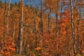 Autumn at Carlton Peak of the Sawtooth Mountains in Northern Minnesota on the North Shore of Lake Superior Royalty Free Stock Photo