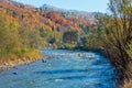 Autumn Carpathian mountain river Ukraine. Royalty Free Stock Photo