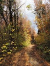 Autumn in the Carpathian Mountains