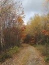 Autumn in the Carpathian Mountains