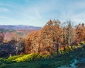 Autumn Carpathian view