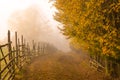 Autumn in the Carpathians Royalty Free Stock Photo