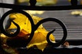 Autumn. A carpet of yellow and red leaves on the grass. Yellow maple leaves lie on a bench after rain Royalty Free Stock Photo