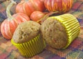 Autumn Carrot Pecan Muffins