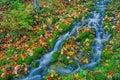 Autumn Cascade at Autrain Falls Royalty Free Stock Photo