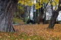 Autumn castle park with exhibited historical cannon, Cieszyn, Poland Royalty Free Stock Photo