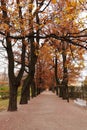 Autumn in the Catherine Park. #1 Royalty Free Stock Photo