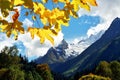 Autumn in Caucasus mountains Royalty Free Stock Photo