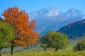 Autumn. Caucasus mountains. On sunset. Royalty Free Stock Photo