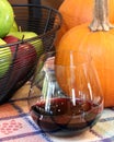 Autumn Celebration - Red Wine, Pumpkins, and Apple Royalty Free Stock Photo