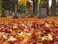 Autumn cemetery