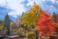 Autumn in cemetery Royalty Free Stock Photo