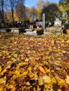 Autumn cemetery in Bytom, Poland Royalty Free Stock Photo