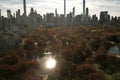 Autumn Central Park in NYC with downtown skyscrapers view from drone. Aerial of NYC Central Park panorama in Autumn Royalty Free Stock Photo