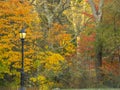 Autumn in Central Park at street lamp