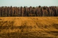 Autumn in Central Russia.