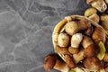 Autumn Cep Mushrooms. Ceps Boletus edulis over Wooden Dark Background, close up on wood rustic table. Cooking delicious organic Royalty Free Stock Photo