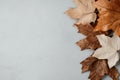 Autumn charm: Simple and elegant banner featuring fall leaves and ample copy space, creating a refined visual effect