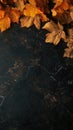 Autumn charm: Simple and elegant banner featuring fall leaves and ample copy space, creating a refined visual effect