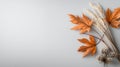 Autumn charm: Simple and elegant banner featuring fall leaves and ample copy space, creating a refined visual effect