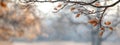 Autumn charm: Simple and elegant banner featuring fall leaves and ample copy space, creating a refined visual effect