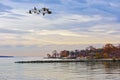 Autumn on the Chesapeake Bay Royalty Free Stock Photo