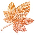 autumn chestnut leaf with patterns on it