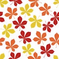 Autumn chestnut leaves pattern. Seamless illustration. Ideal for packaging eco-friendly products, scrapbooking, eco Royalty Free Stock Photo