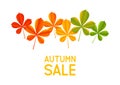 Autumn chestnut leaves Royalty Free Stock Photo