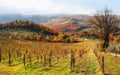 Autumn in chianti hills