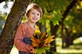 Autumn children. A boy in an autumn Park with a bouquet of leaves. A child walks in the Park. Cute boy playing with maple leaves Royalty Free Stock Photo