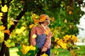 Autumn children`s portrait. A happy child, tossing fallen leaves up, is playing in an autumn park. Children walk in the autumn Royalty Free Stock Photo