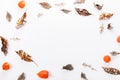 Christmas or autumn composition. Dry autumn leaves and physalis Top view, flat lay, copy space Royalty Free Stock Photo