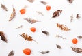 Christmas or autumn composition. Dry autumn leaves and physalis Top view, flat lay, copy space Royalty Free Stock Photo