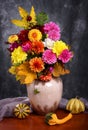 Autumn chrysanthemum flowers Royalty Free Stock Photo