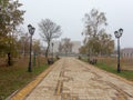 Travel through the autumn park around the city, watching the natural changes, plunging into the daytime fog and enjoying the commu Royalty Free Stock Photo