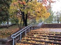 Autumn city landscape. Multicolored leaves on trees and stone stairs.