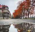 Autumn city, orange leaves and trees reflected in a puddle, Uzhhorod Ukraine Uzhgorod Europe Royalty Free Stock Photo