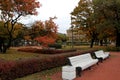 Autumn in city park. Colorful leaves in sun light. Beauty nature scene at fall season Royalty Free Stock Photo