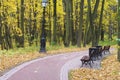 Autumn in city park. Colorful leaves in sun light. Empty bench near the tree. Royalty Free Stock Photo