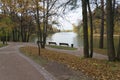 Autumn in city park. Colorful leaves in sun light. Empty bench near the tree. Royalty Free Stock Photo