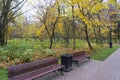 Autumn in city park. Colorful leaves in sun light. Empty bench near the tree. Royalty Free Stock Photo