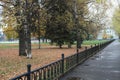 Autumn city park road puddles fence maple birch Royalty Free Stock Photo