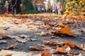 Autumn city park. Young people is walking in park in sunny autumn day. Orange fall leaves in pathway Royalty Free Stock Photo