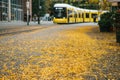 Autumn city scene. Selective focus on yellow foliage on the road. The tram is blurred in the background. Royalty Free Stock Photo