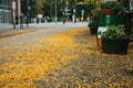 Autumn city scene. Street in Berlin. The yellow foliage lies on the sidewalk. Royalty Free Stock Photo