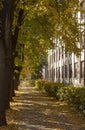 Autumn city street, yellow foliage in the trees and the sidewalk Royalty Free Stock Photo