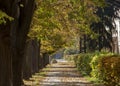 Autumn city street, yellow foliage in the trees and the sidewalk Royalty Free Stock Photo