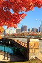 Autumn in the city Royalty Free Stock Photo