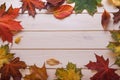 autumn classified on the tree with leaf frame for words and inscriptions, copy space, Royalty Free Stock Photo